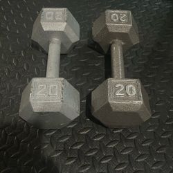 Pair Of Dumbbell 20 Pounds Each