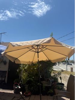 Umbrella for sale