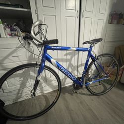 Giant Road Bike