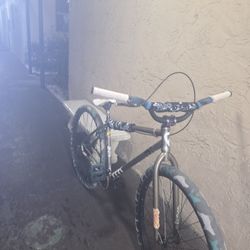 29inch  Cult Bmx Criuser