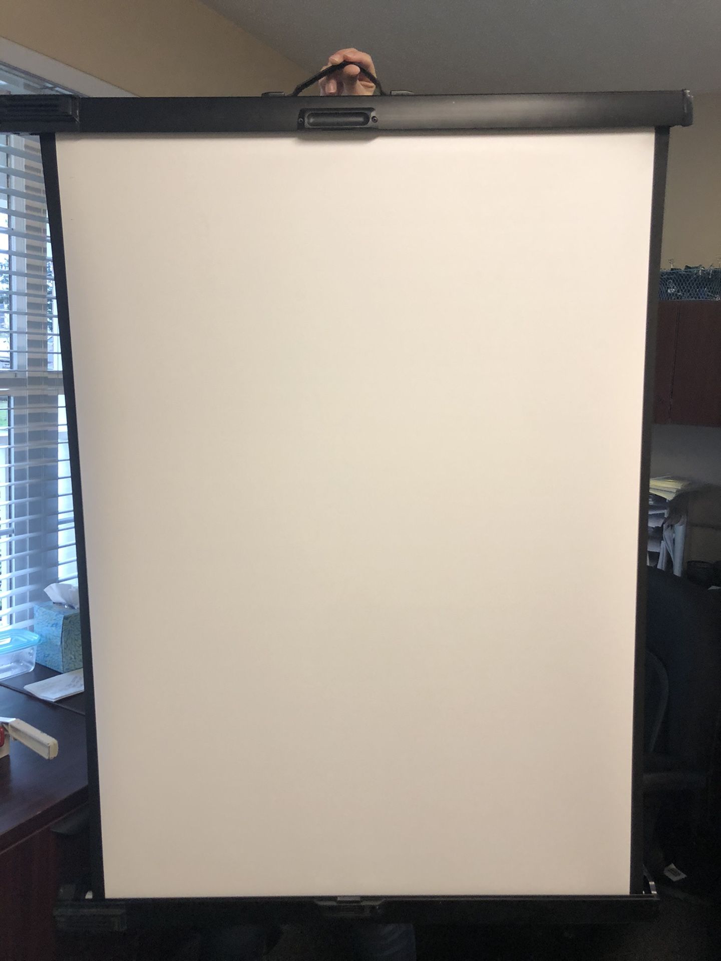 InFocus Retractable White Screen