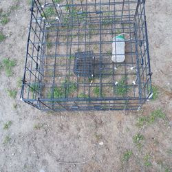 Crab Pot  6 Entry Areas   26 " - 12 " . $20.00  It's  Yours .