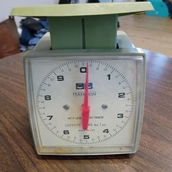 Kitchen Scale
