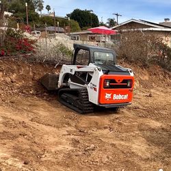 Bobcat 