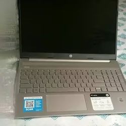 HP 15.6 inch   Natural Silver, 15-fc0399n