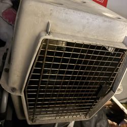 Dog Crate 