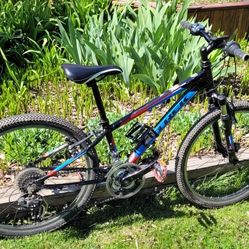 MTB Trek MT220 24 Inch Wheels