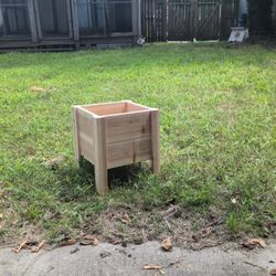 Plant Box