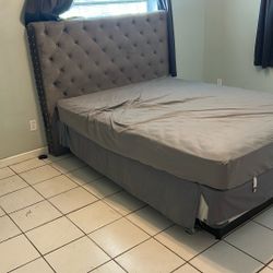 Bed For Free 