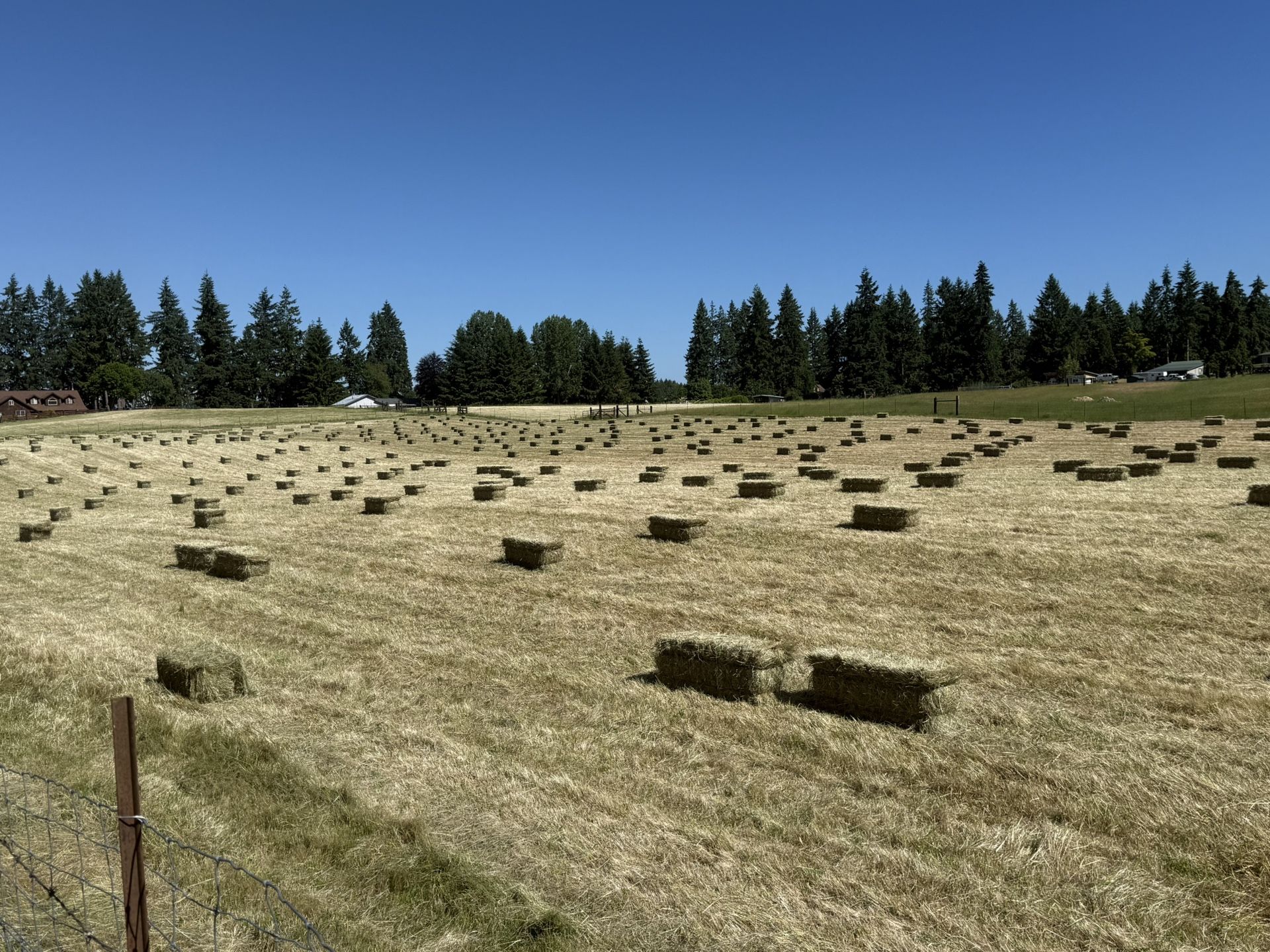 25’ Fresh Cut Hay