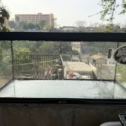 Reptile Enclosure Tank