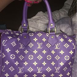 Louis Vuitton Bag (Purple)