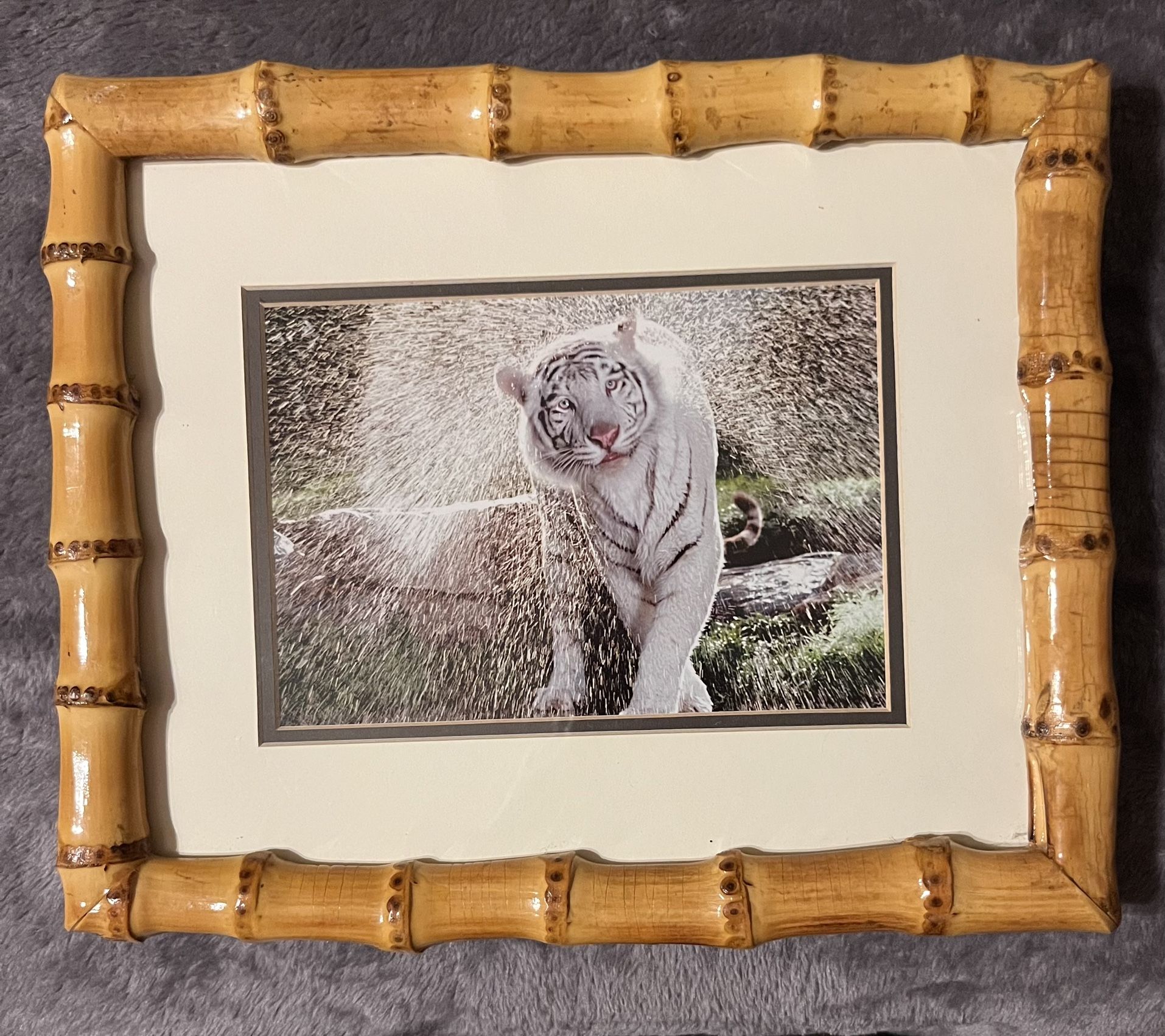 Framed  White Tiger