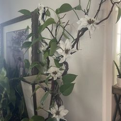 A Beautiful Arrangement 