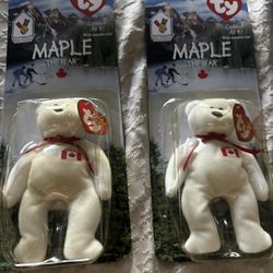 The Bear, Glory, Maple And Britannia 