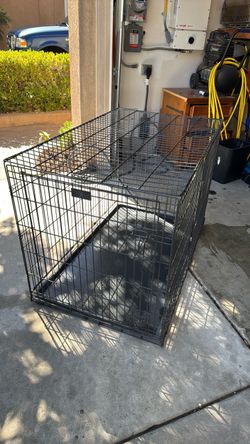 Large Dog Kennel - Petco