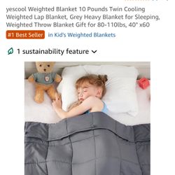 10lb Weighted blanket 