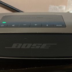 Bose Mini Soaker 