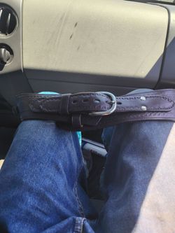 Gun and ammo belt