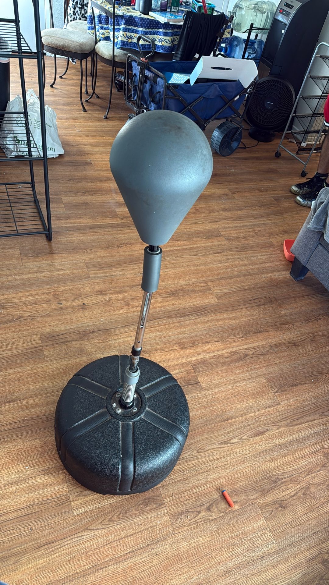 Everlast Punching Bag