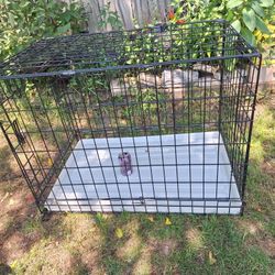 Xl Dog Kennel