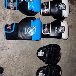 Boxing Gloves + Sparring Pads