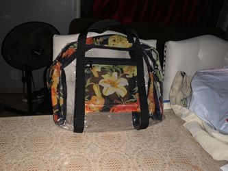 Transparent Bags