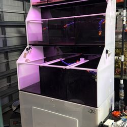 Aquarium Fish holding system Quarantine