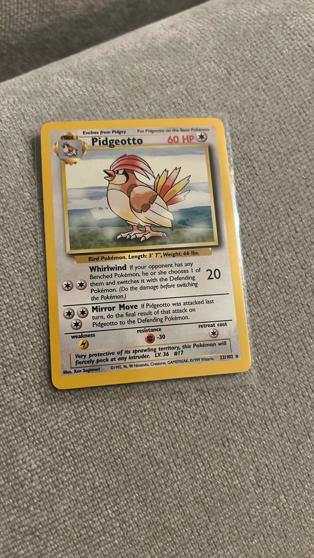 Pokemon Pidgeotto 