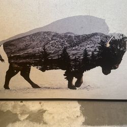 Bison Mountain Print