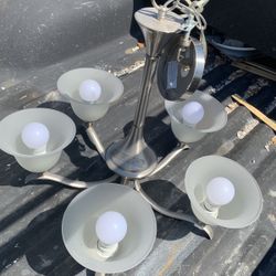 Chandelier Brushes Nicole 