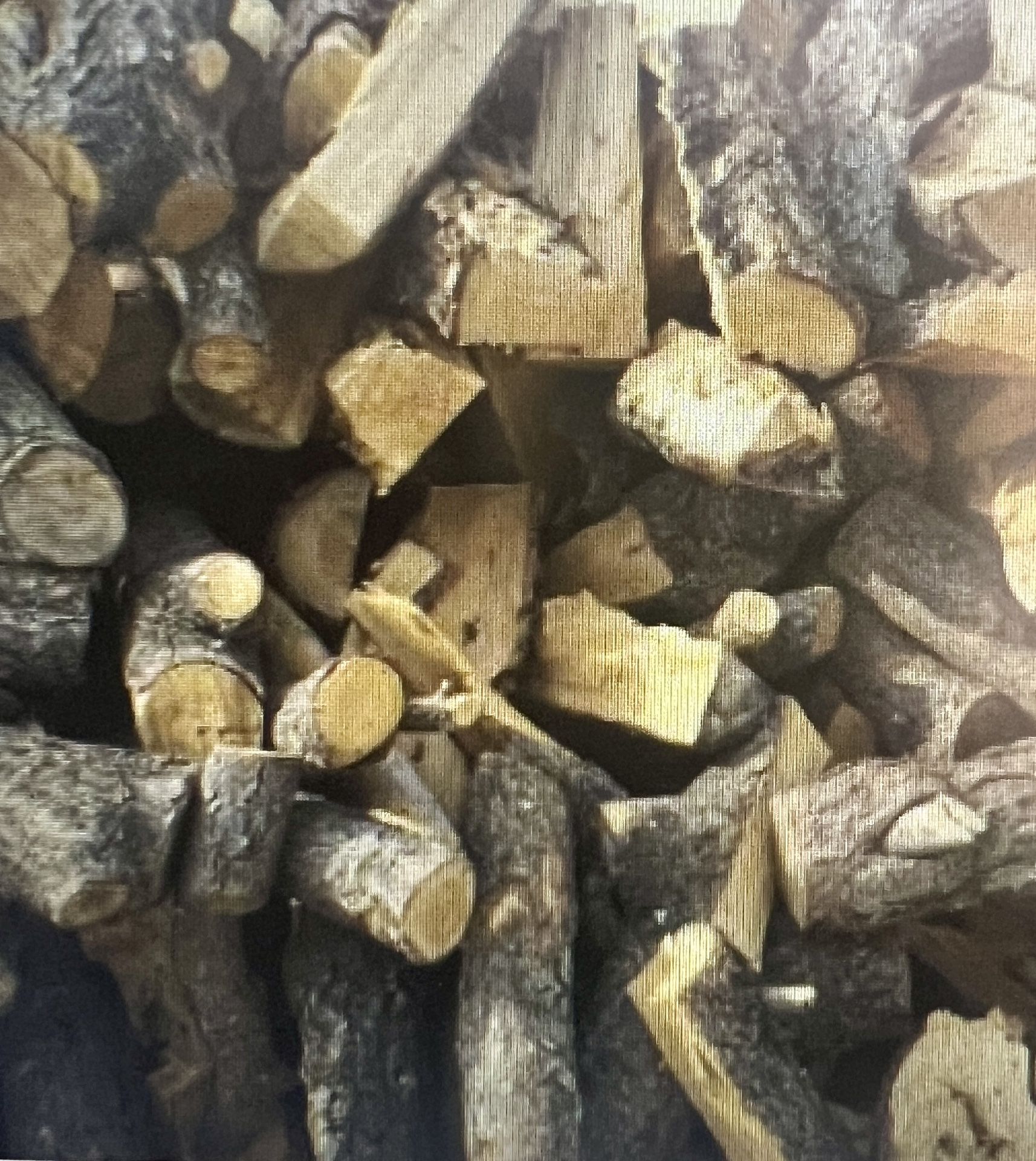 Firewood - FREE!!!