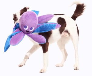 Ollie the Octopus Plush Tug + Medium/ Large Dog Toy