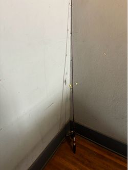 KUNNAN 160cm 5’3 MEDIUM ACTION rod with DAIWA D1300 reel