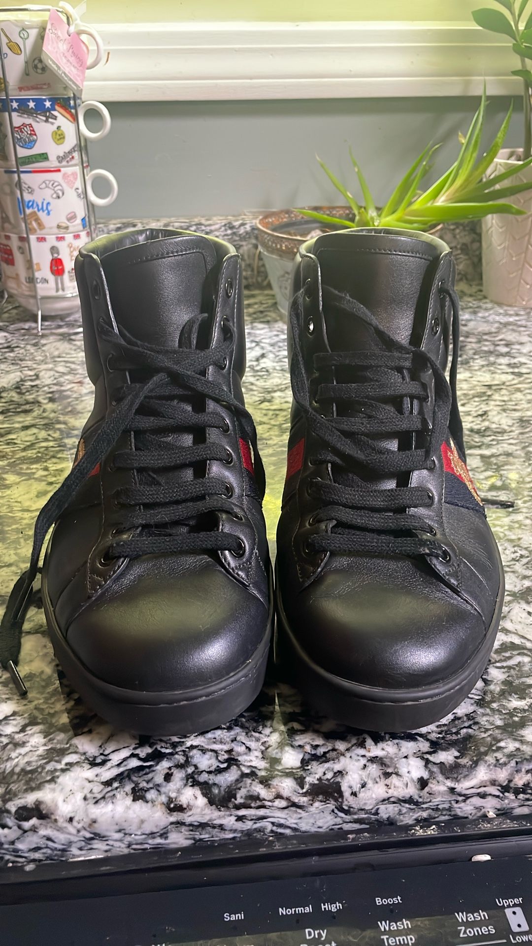 For Sale: Gucci Ace High-Top Sneakers – Mint – Authentic Designer Footwear