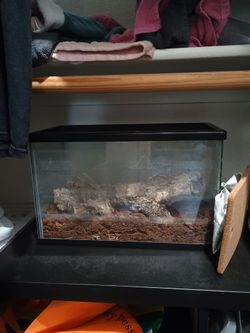 5 gal tank