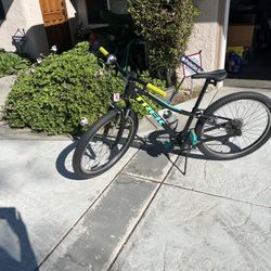 24” Trek Precaliber Bike