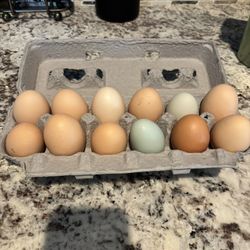 Fresh Farm Eggs 