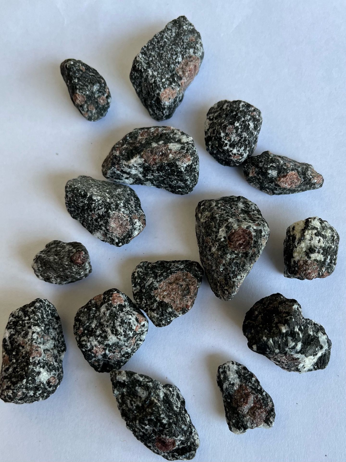Garnets With Diorite. Rocks Crystals Gemstones Minerals