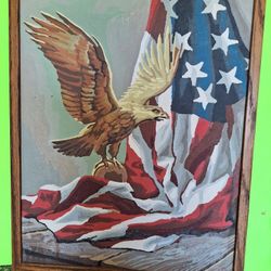 Paint By Numbers American Flag Eagle Picture
FRAMED ART
