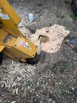 Stump grinder