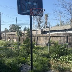 Basketball Court 