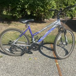 Women’s Bicycle Triax VBX3000