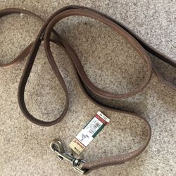 NEW! Dog Accessories!