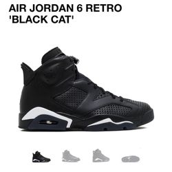 Air Jordan Retro 6 Size 10.5 