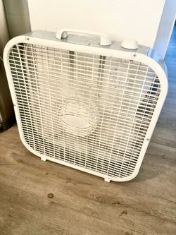 Fan