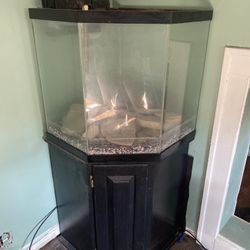 Corner Fish Tank with Black Stand
