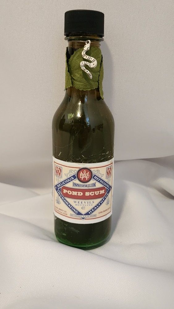 Wizarding World Inspired Pond Scum Potion