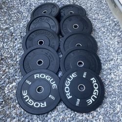Rogue Bumper Weights 