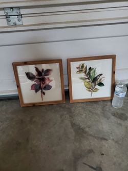 Picture frames ( 2 )